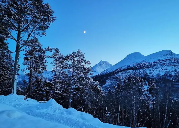 Σπίτι διακοπών Huset Ved Skogen
