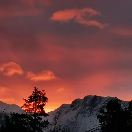 Huset Ved Skogen *